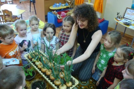 В старшей группе детского сада «Сказка» продолжается работа по развитию у детей познавательных интересов к природе