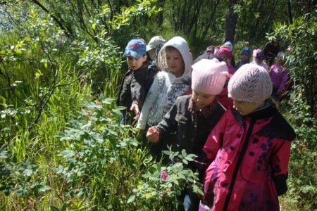 Воспитанники старшей группы  детского сада «Сказка» приняли участие в экскур-сии-занятии - Экологическая тропа «Береги Землю - Матушку».